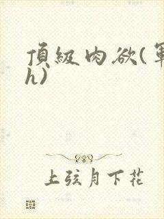 顶级肉欲(军高h)