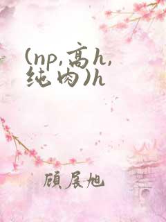 (np,高h,纯肉)h
