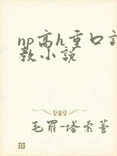 np高h重口调教小说