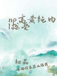 np高黄纯肉bl总受