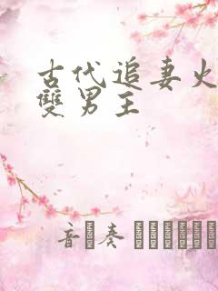 古代追妻火葬场双男主