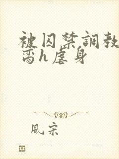 被囚禁调教成禁脔h虐身