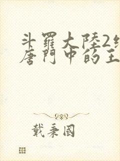 斗罗大陆2绝世唐门中的王冬