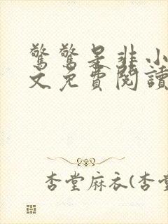 惊惊是非小说全文免费阅读最新章节