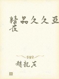 精品久久亚洲午夜
