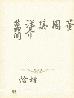 万洋集团董事长简介