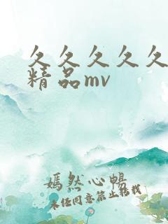 久久久久久国产精品mv