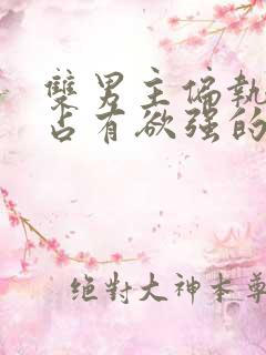 双男主偏执病态占有欲强的小说