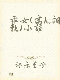 乖女(高h,调教)小说