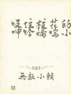 吸住校花的奶头呻吟娇喘小说