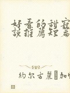 好看的甜宠文小说推荐短篇