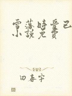 雪落时爱已落幕小说免费