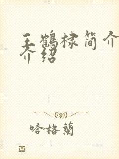 王鹤棣简介个人介绍