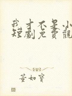 我才不是小可怜短剧免费观看全集