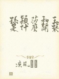 孙颖莎和王楚钦是什么关系