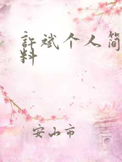 许斌个人简介资料