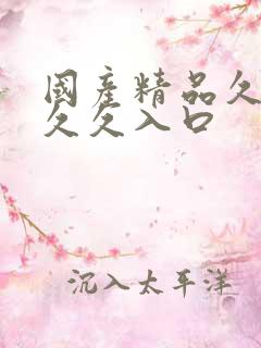 国产精品久久久久久入口