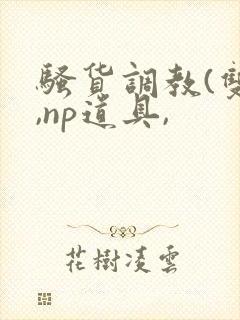 骚货调教(双性,np道具,