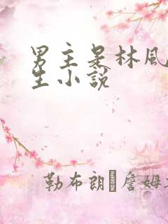 男主是林风的重生小说