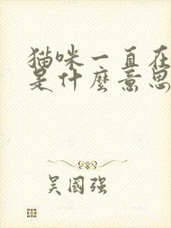 猫咪一直在踩奶是什么意思