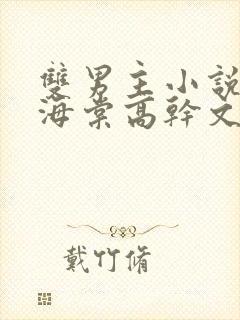 双男主小说推荐海棠高干文