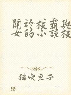 关于校霸与乖乖女的小说校园文