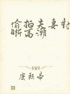 偷拍夫妻对白清晰高潮