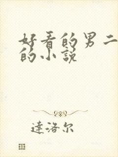 好看的男二上位的小说