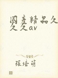 国产精品久久久久久av