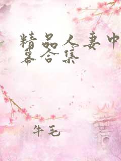 精品人妻中文字幕合集
