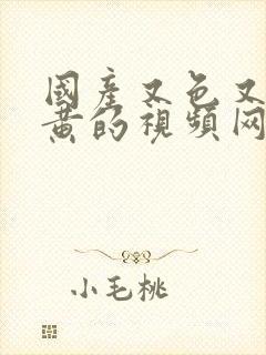 国产又色又爽又黄的视频网站