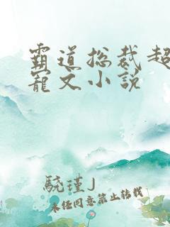 霸道总裁超甜肉宠文小说