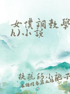 女仆调教学院(h)小说