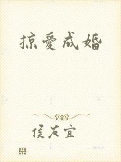 掠爱成婚