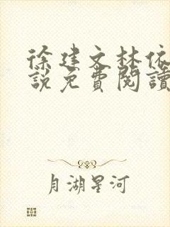 徐建文林依人小说免费阅读全文下载