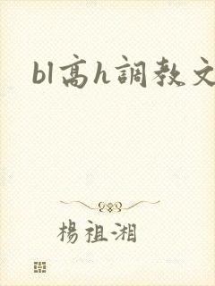 bl高h调教文