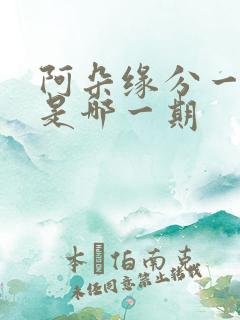 阿朵缘分一道桥是哪一期