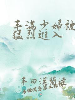 丰满少妇被粗大猛烈进入