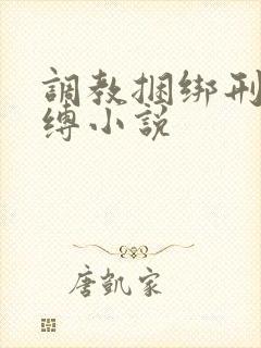 调教捆绑刑具束缚小说