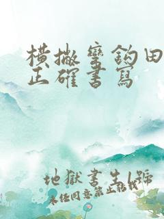 横撇弯钩田字格正确书写