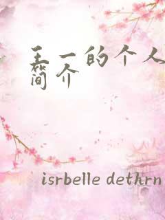 王一的个人资料简介