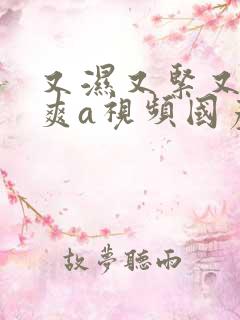 又湿又紧又大又爽a视频国产