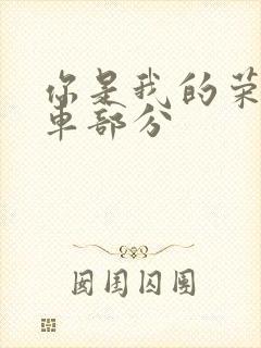 你是我的荣耀开车部分