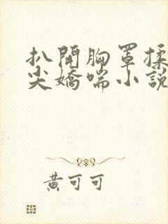 扒开胸罩揉她乳尖娇喘小说