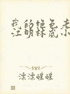 我的绝色老板娘江明林岚小说