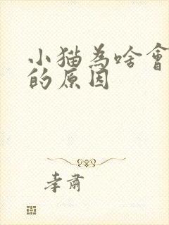 小猫为啥会踩奶的原因