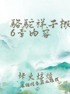 骆驼祥子概括16章内容