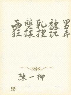 两双乳被男人疯狂揉捏玩弄视频