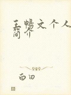 王畅文个人资料简介