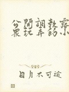 公开调教露出当众玩弄的小说